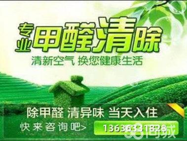 母嬰甲醛治理服務工裝家裝除甲醛工廠,空氣凈化提供甲醛檢測、汽車除醛、甲醛治理/除甲醛服務